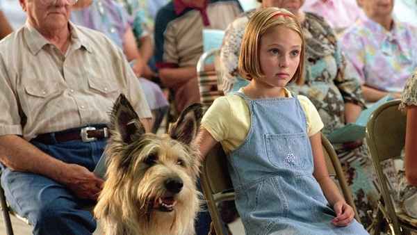 Кино про собак: список лучших детских фильмов